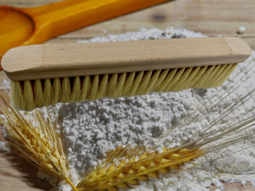 Powder brush wood with natural bristles